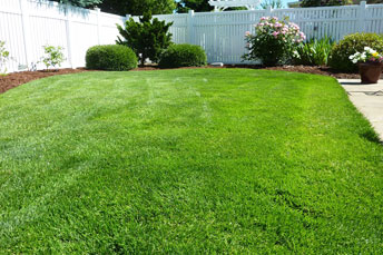 artificial-lawn artificial-lawn
